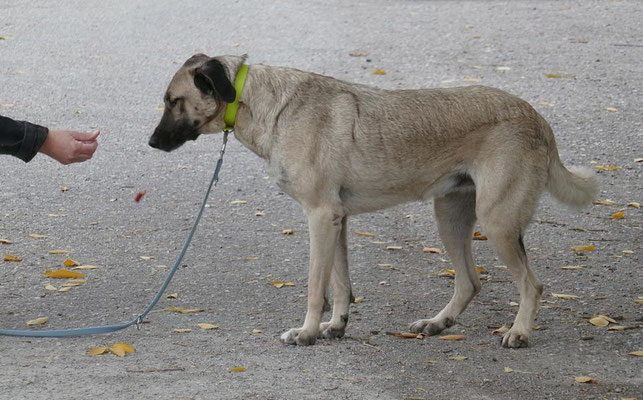 neues Foto Januar 2026