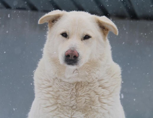 neues Foto Januar 2026