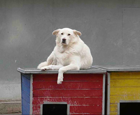 neues Foto Januar 2026