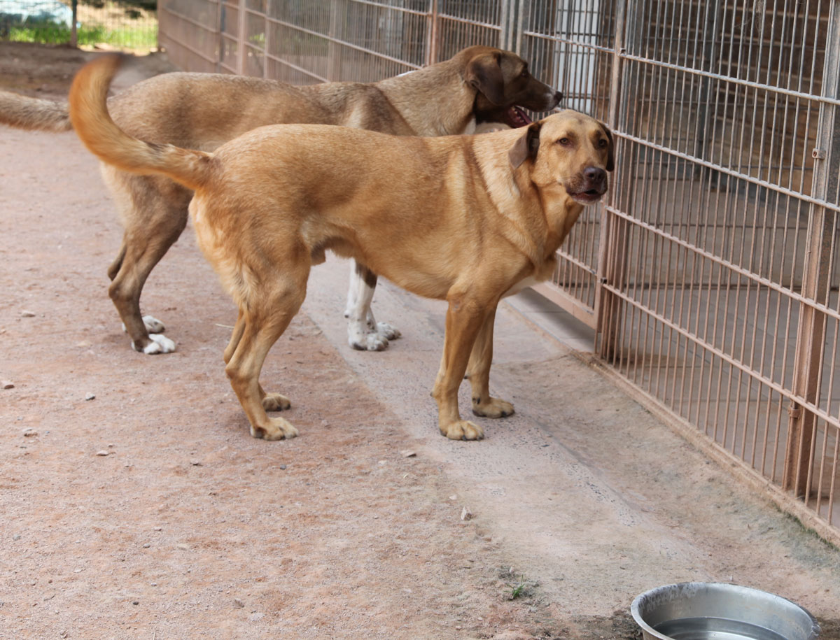 neues Foto Januar 2026