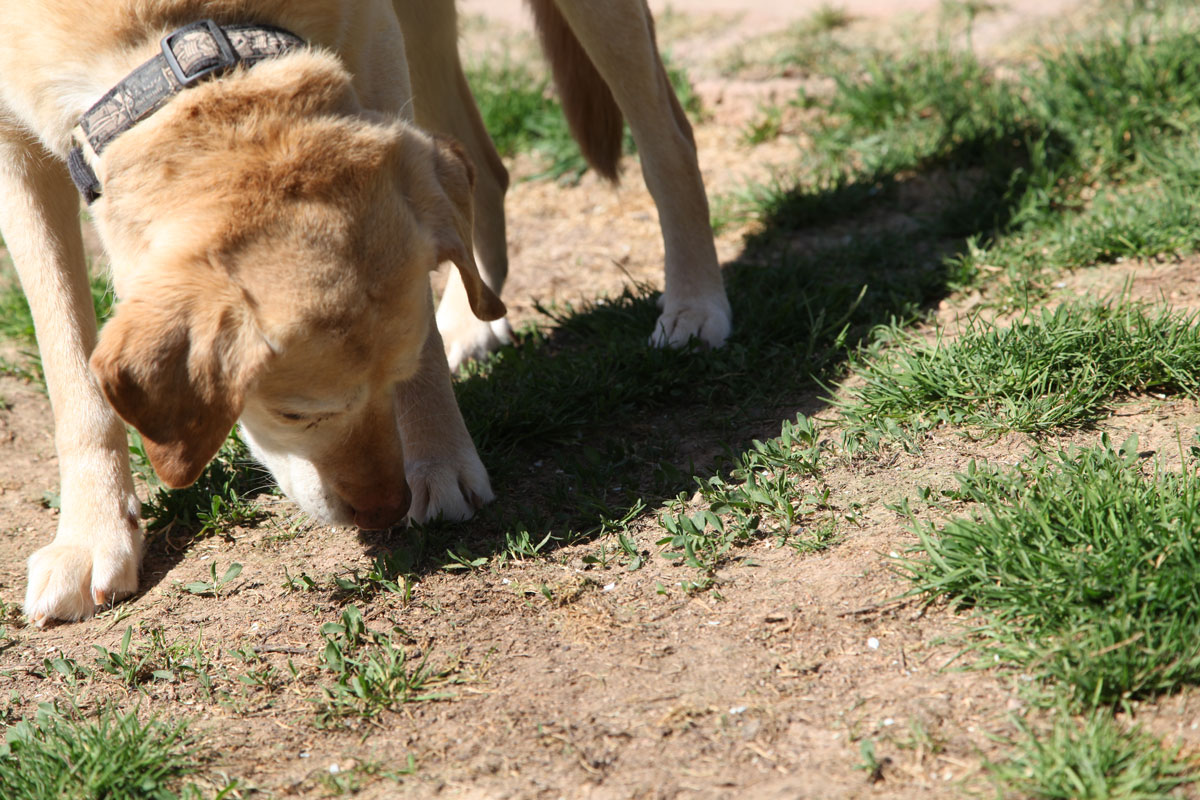 neues Foo Januar 2026