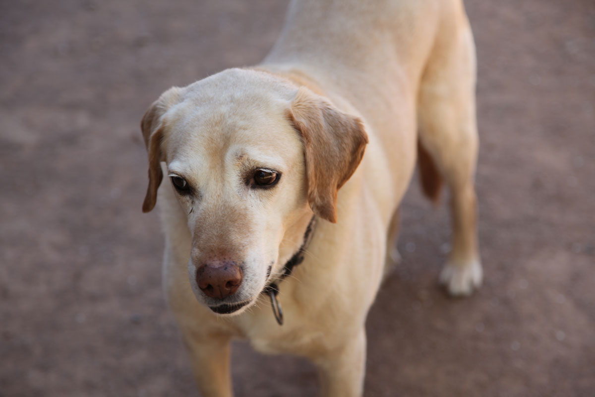 neues Foo Januar 2026