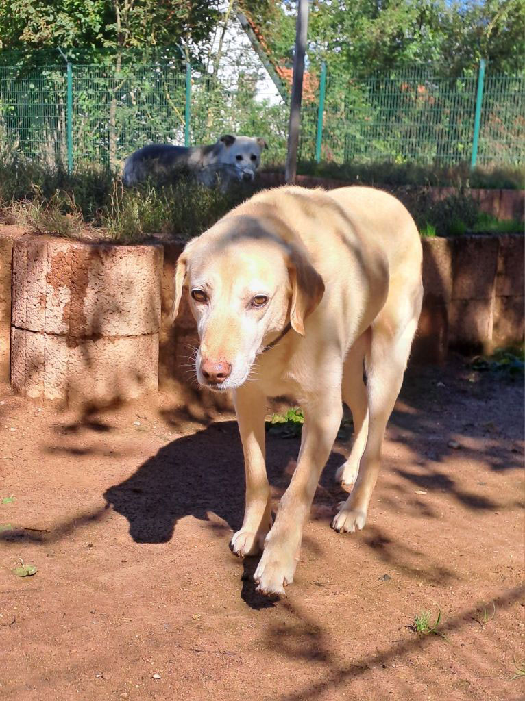 neues Foo Januar 2026