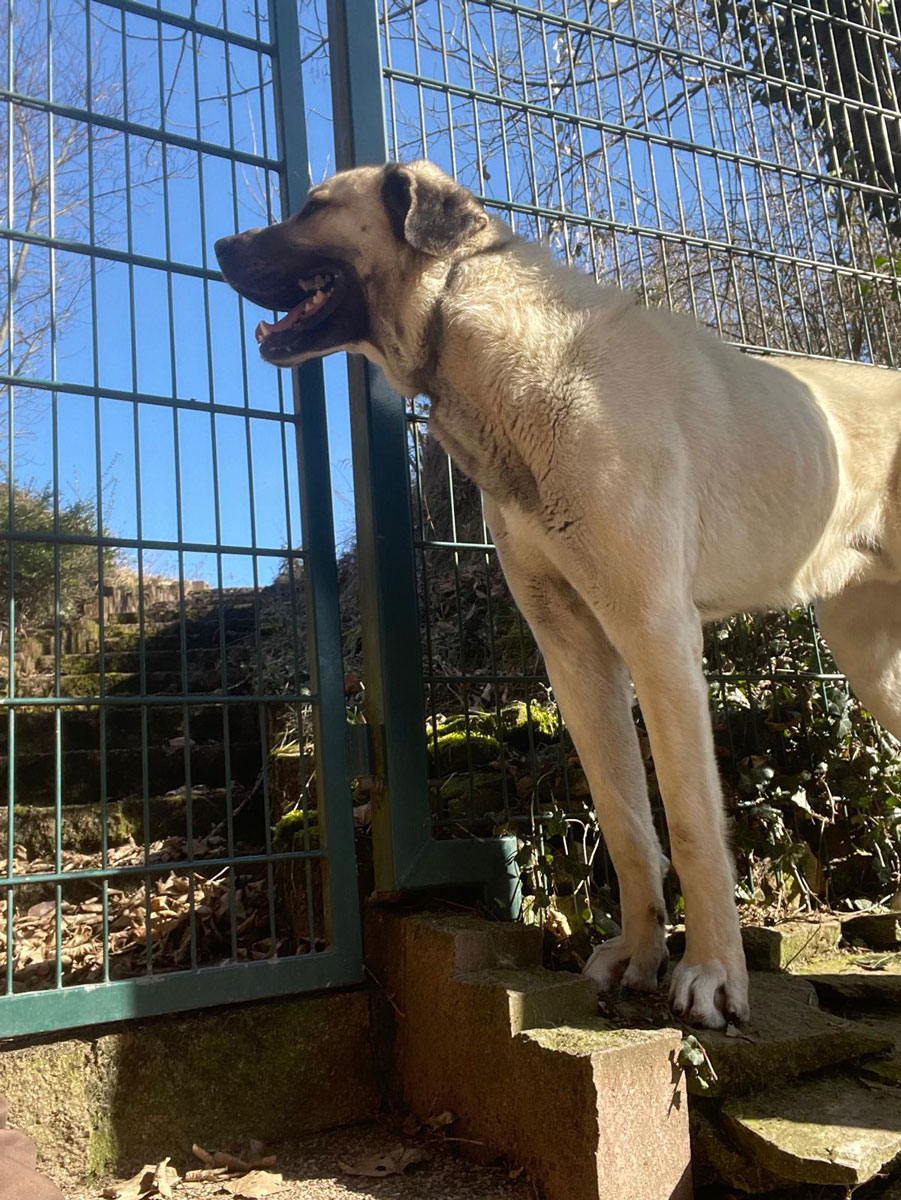 neues Foto Januar 2026