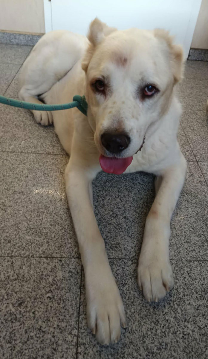 neues Foto Januar 2026