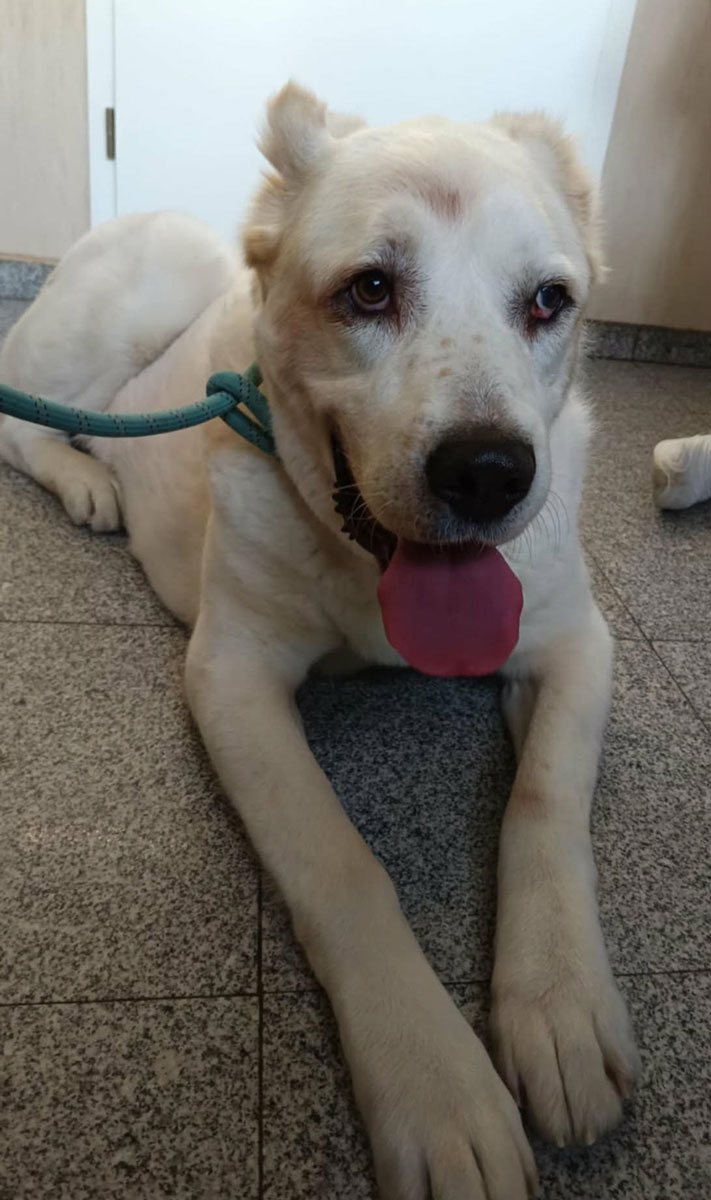 neues Foto Januar 2026