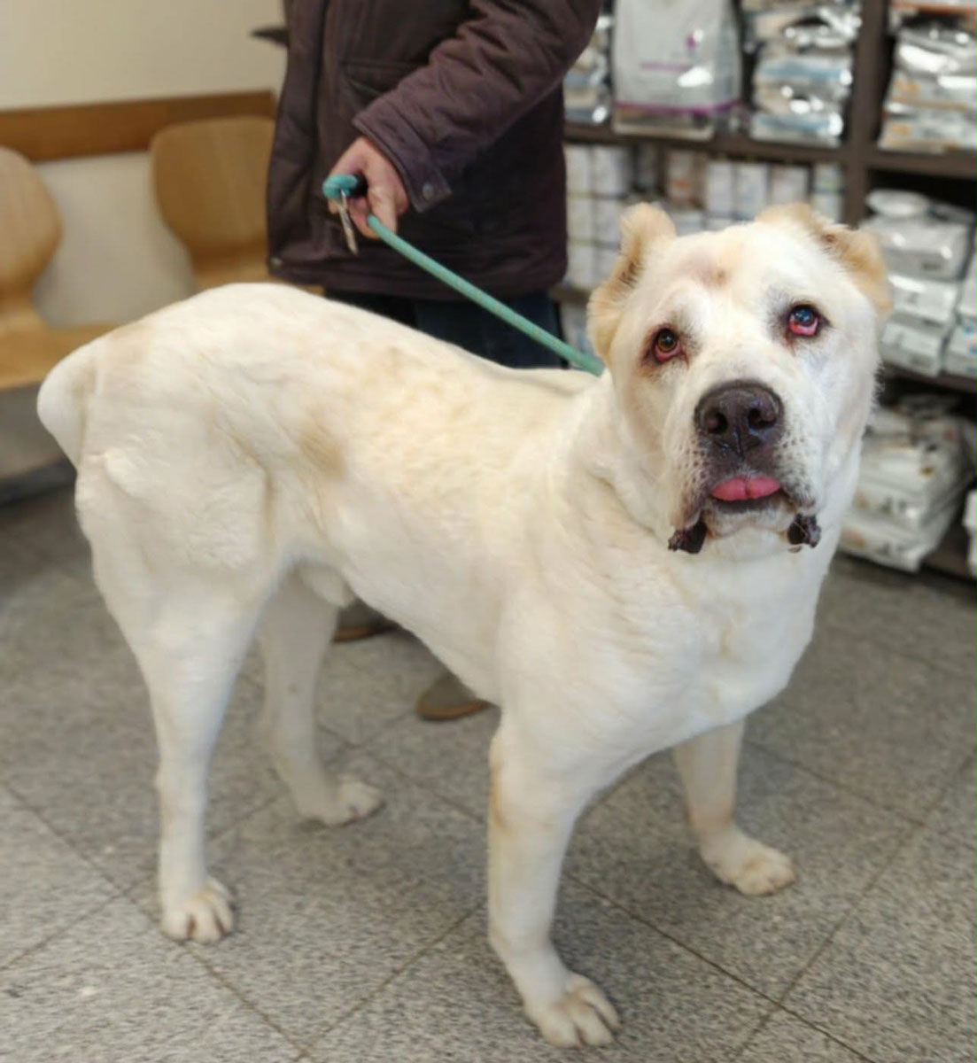 neues Foto Januar 2026