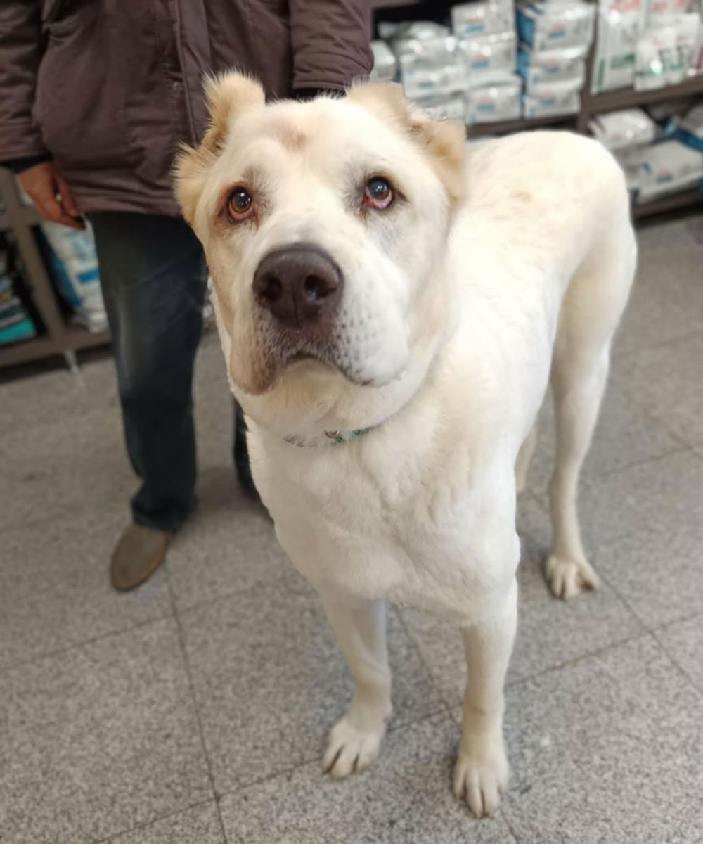 neues Foto Januar 2026