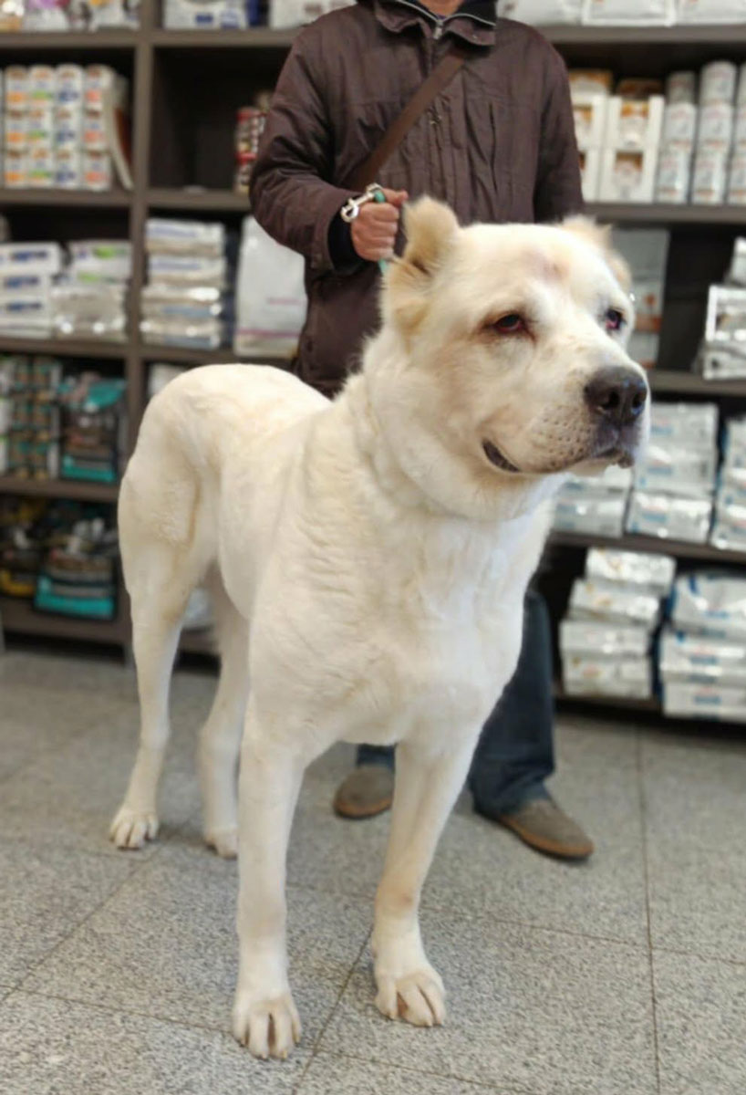 neues Foto Januar 2026