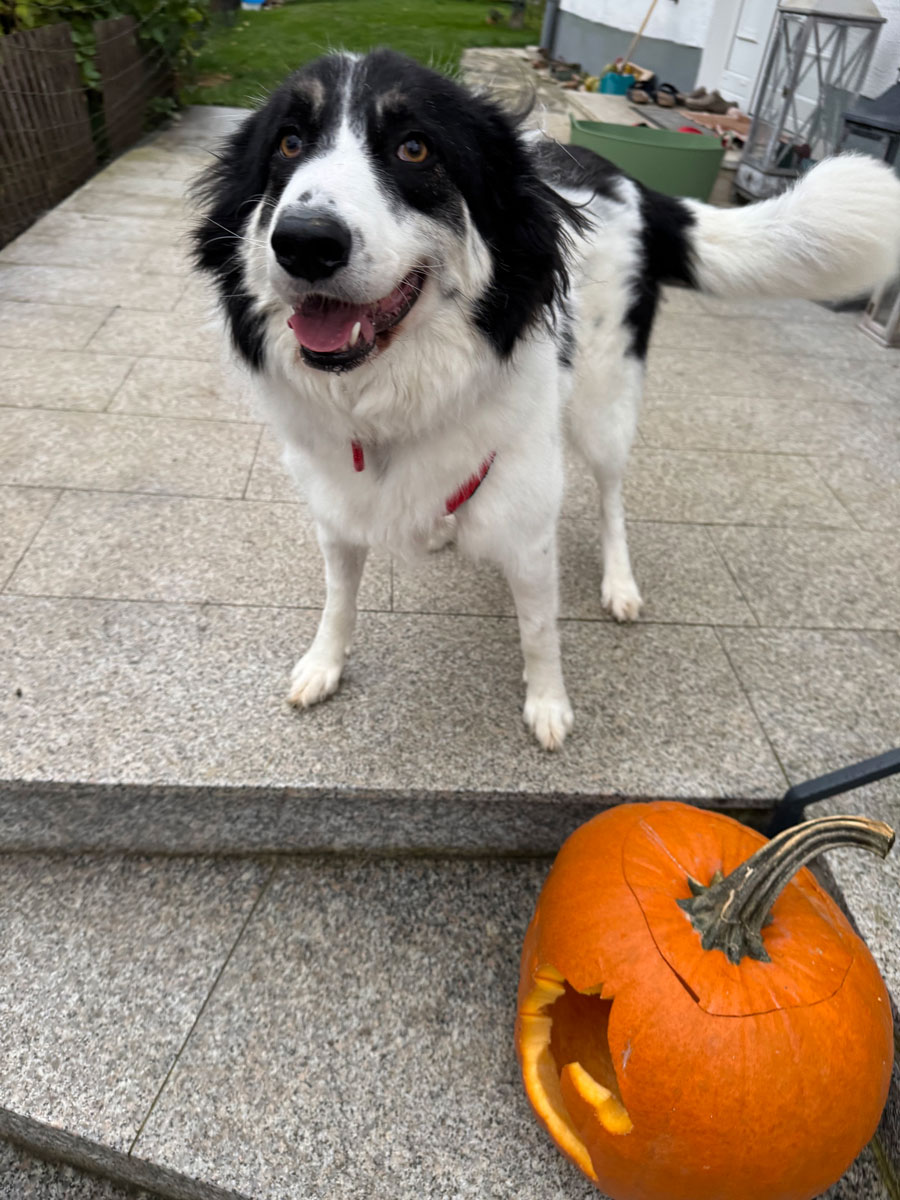 neues Foto Januar 2026