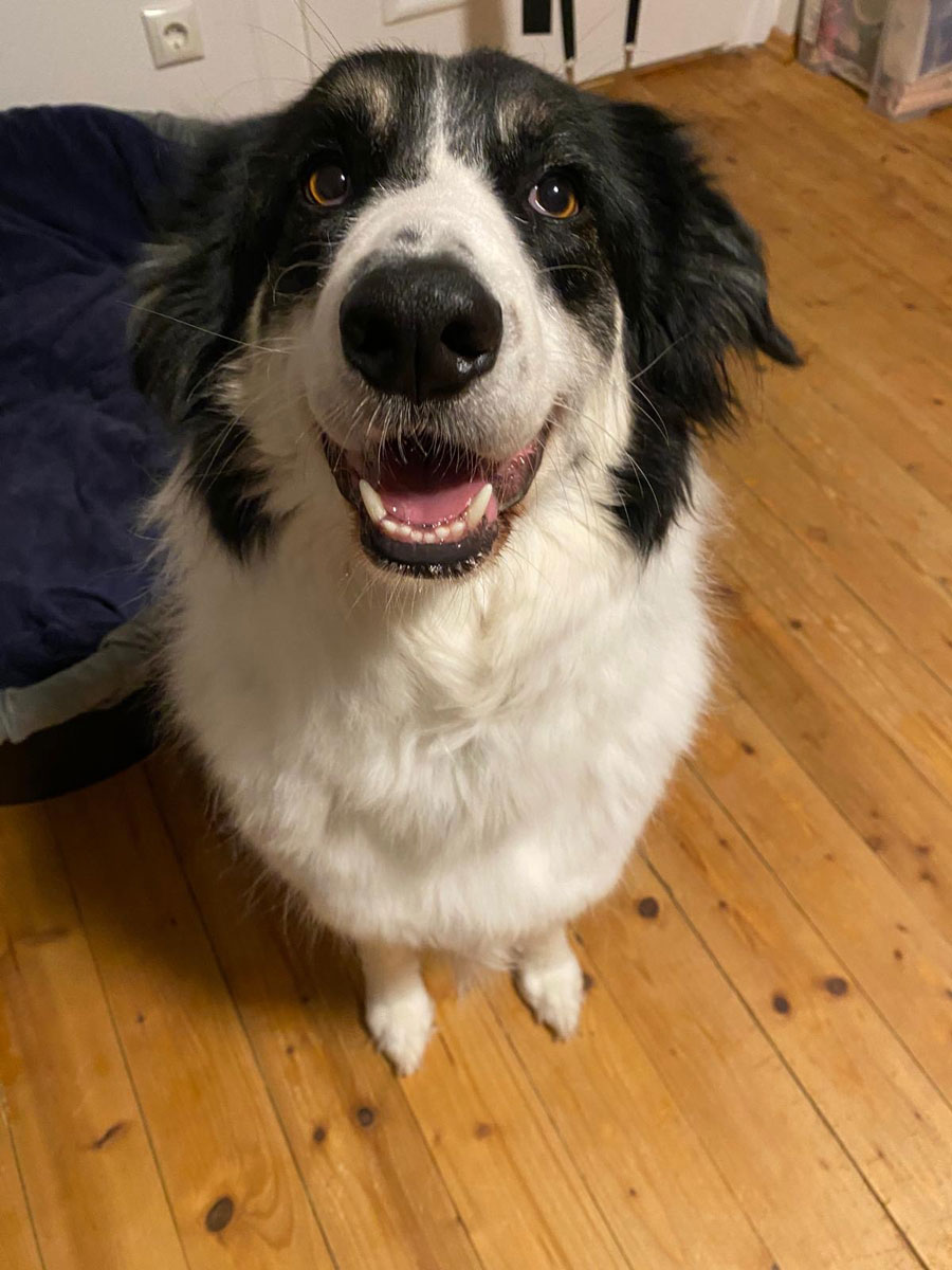 neues Foto Januar 2026