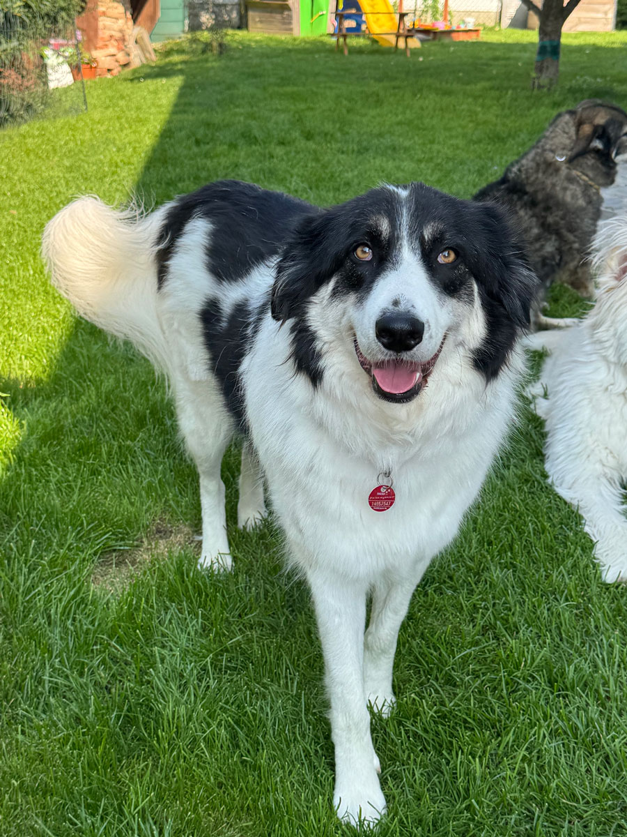 neues Foto Januar 2026