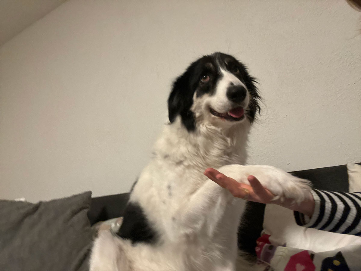 neues Foto Januar 2026