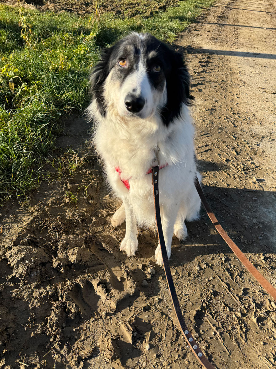 neues Foto Januar 2026