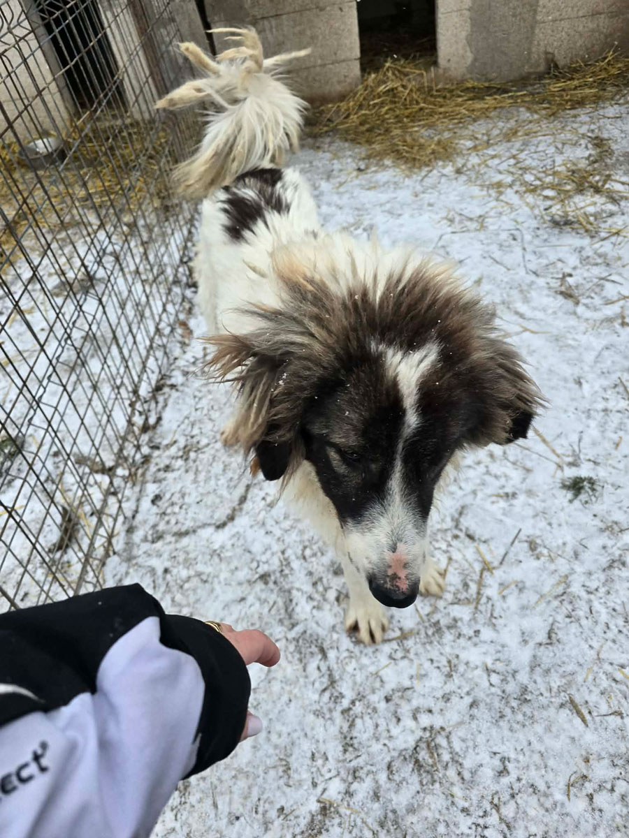 neues Foto Januar 2026