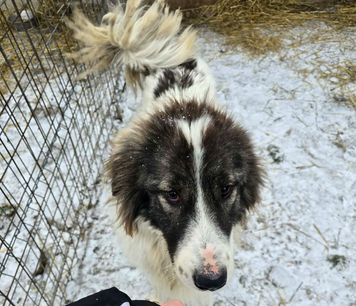 neues Foto Januar 2026