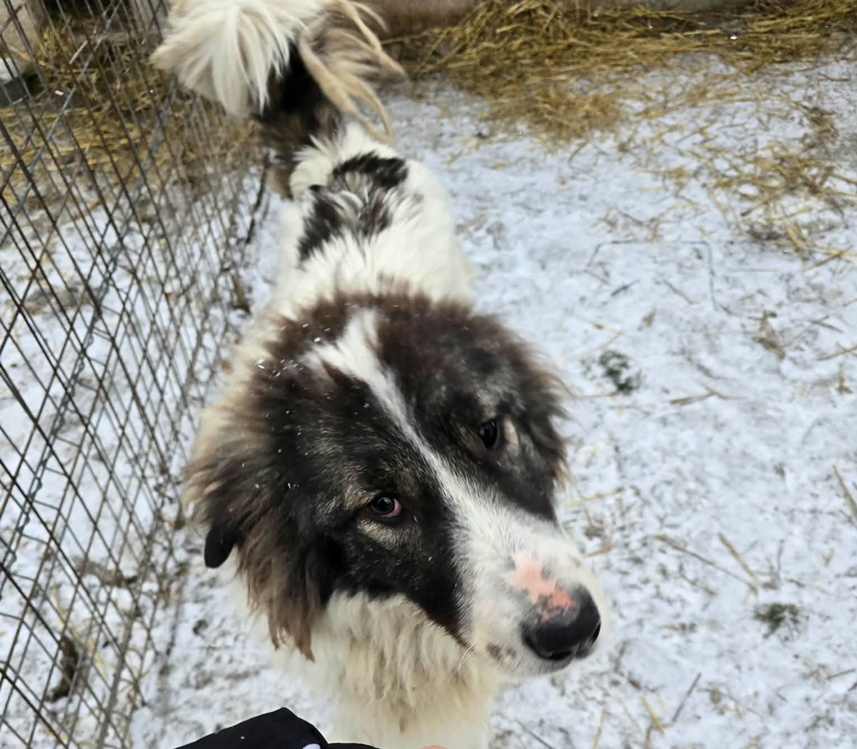 neues Foto Januar 2026