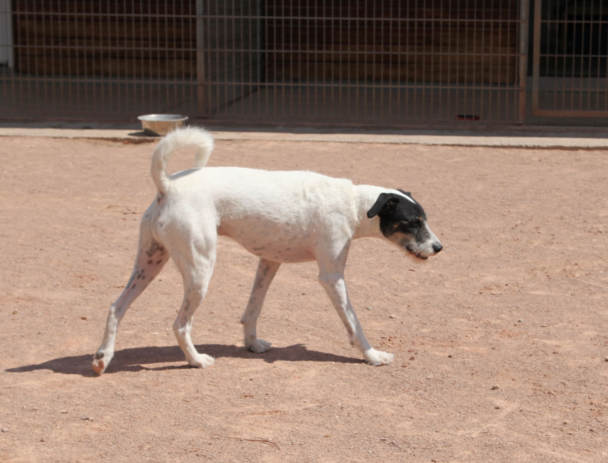 neues Foto Januar 2026