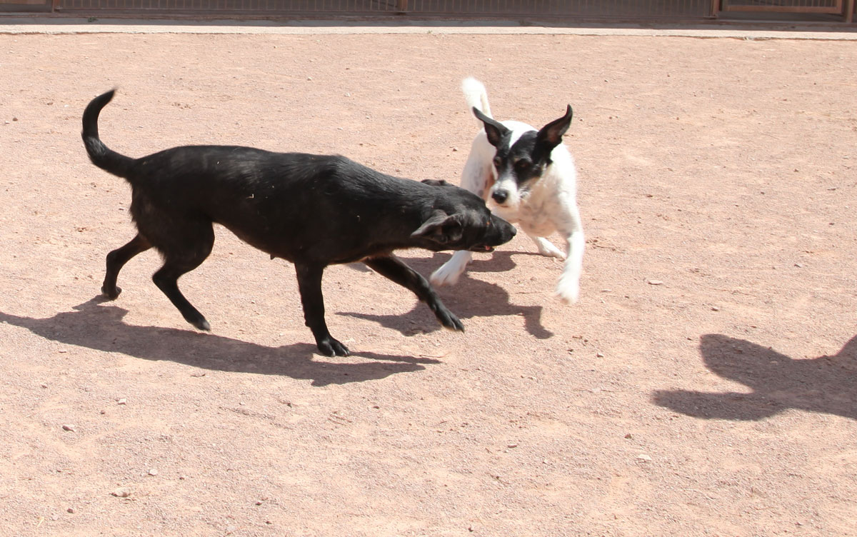 neues Foto Januar 2026