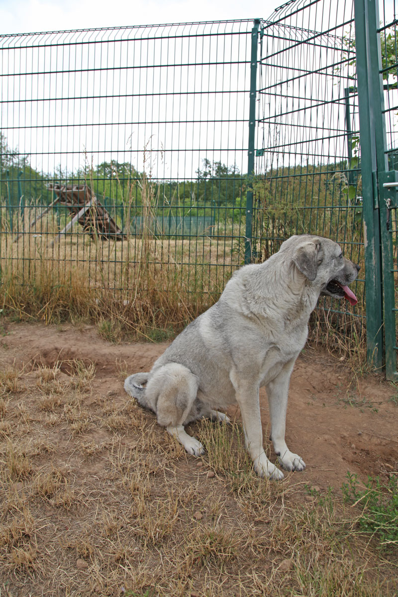 neues Foto Januar 2026