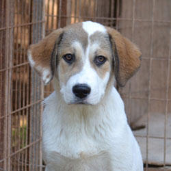 neues Foto Januar 2026