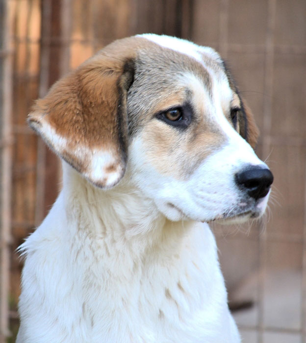 neues Foto Januar 2026