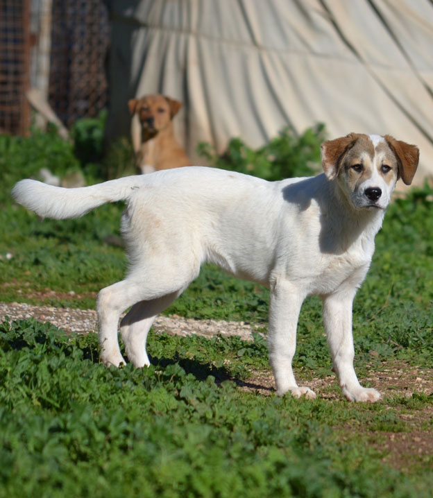 neues Foto Januar 2026