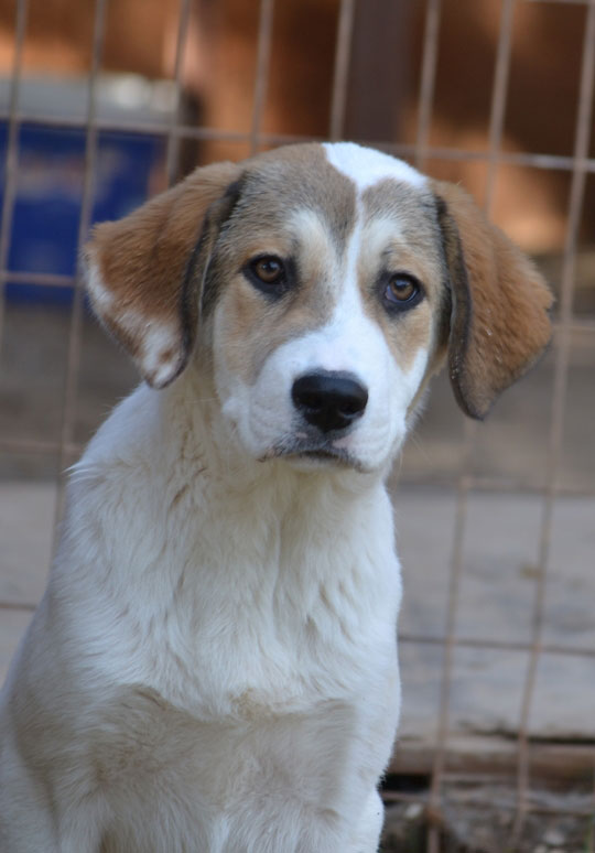 neues Foto Januar 2026