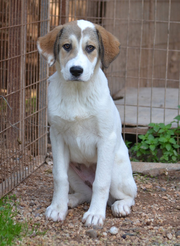 neues Foto Januar 2026