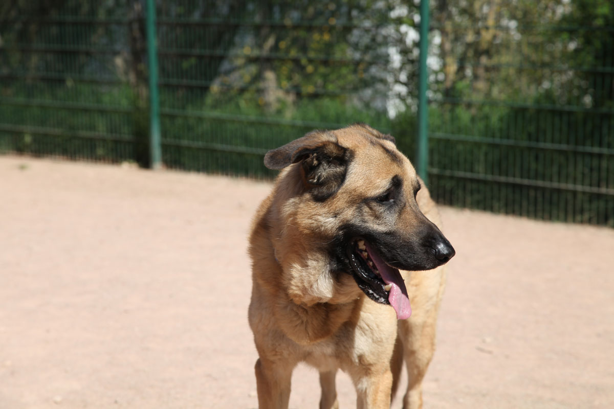 neues Foto Januar 2026