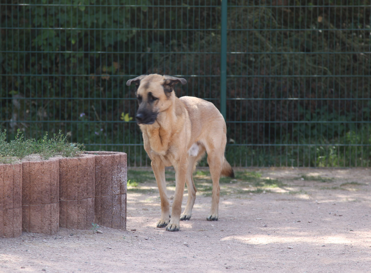 neues Foto Januar 2026