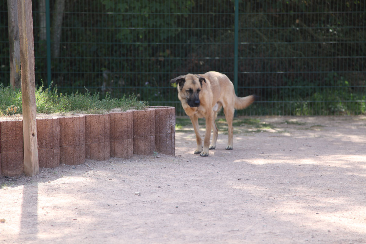 neues Foto Januar 2026