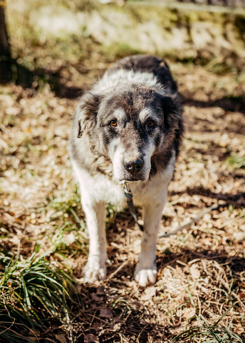 neues Foto Januar 2026