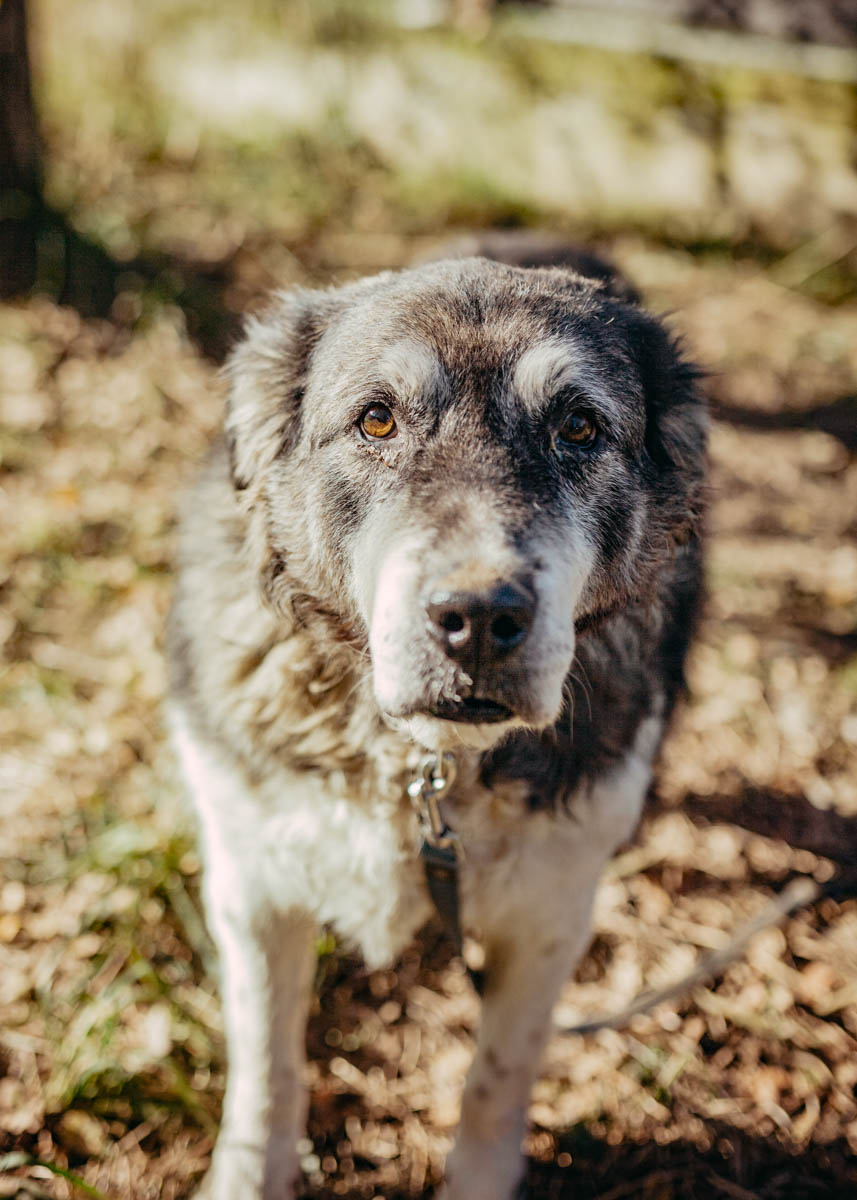 neues Foto Januar 2026