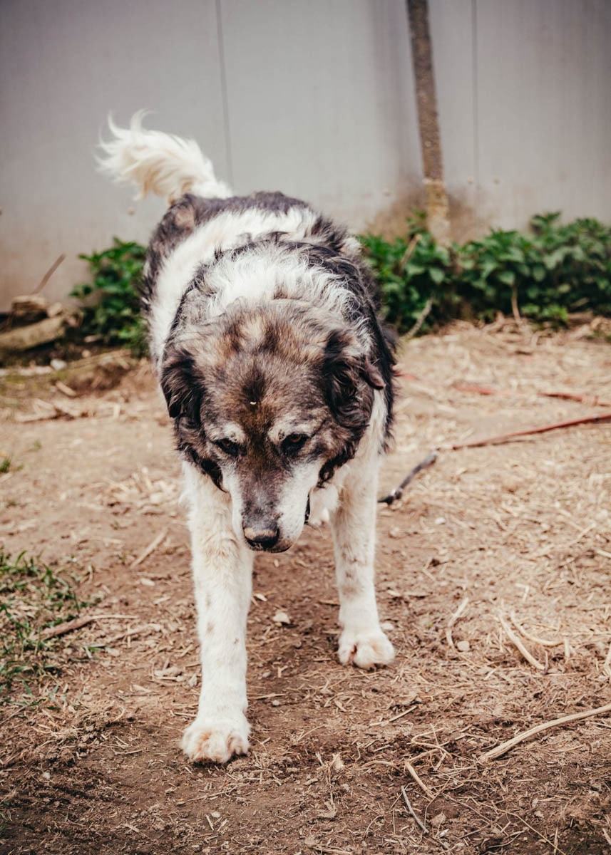 neues Foto Januar 2026