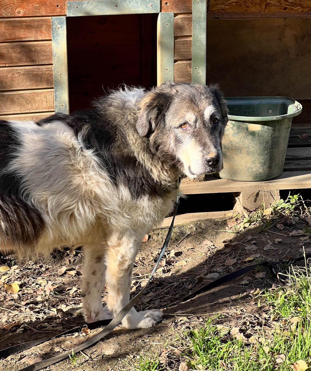 neues Foto Januar 2026