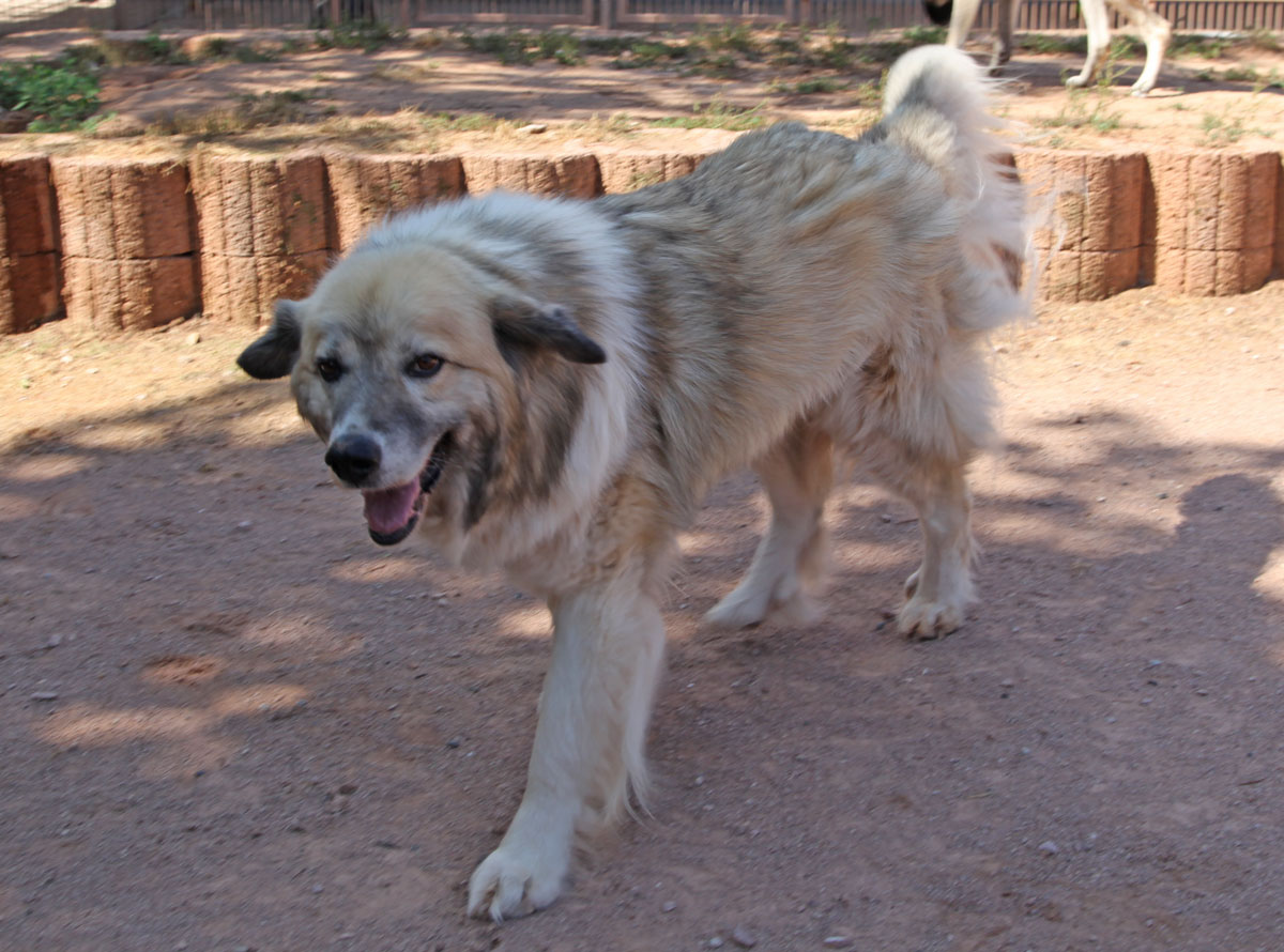 neues Foto Januar 2026