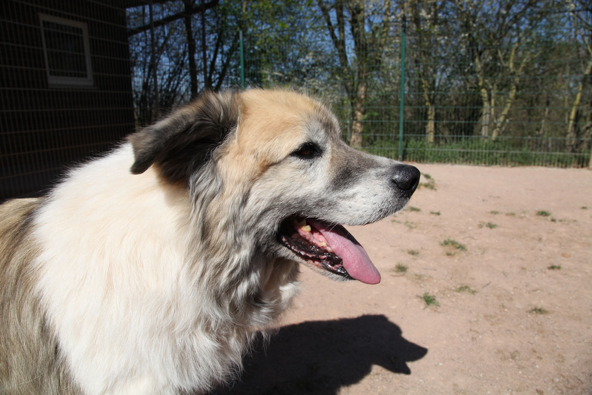 neues Foto Januar 2026