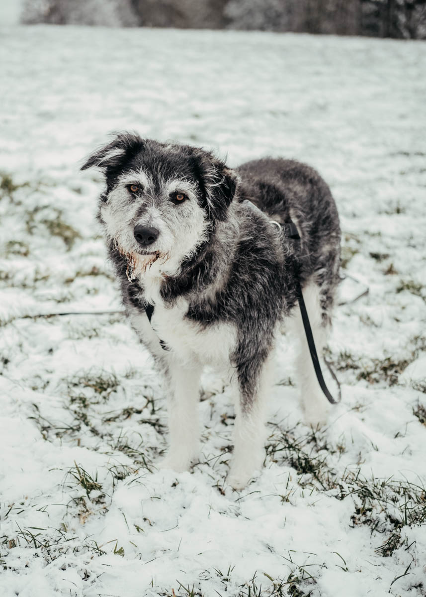 neue Fotos Januar 2026