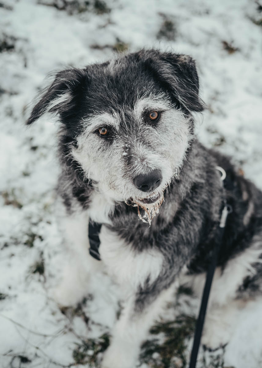 neue Fotos Januar 2026