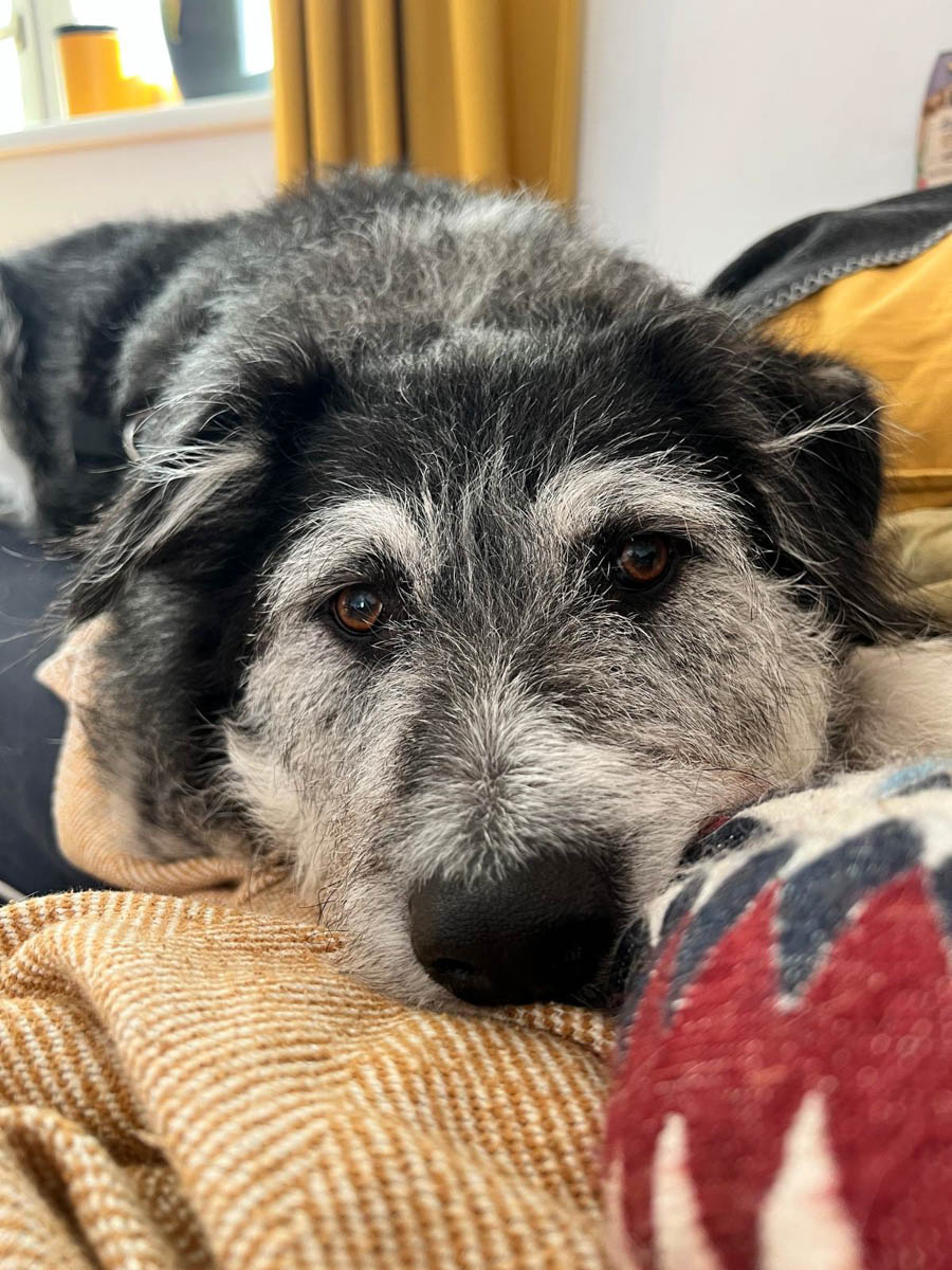 neue Fotos Januar 2026