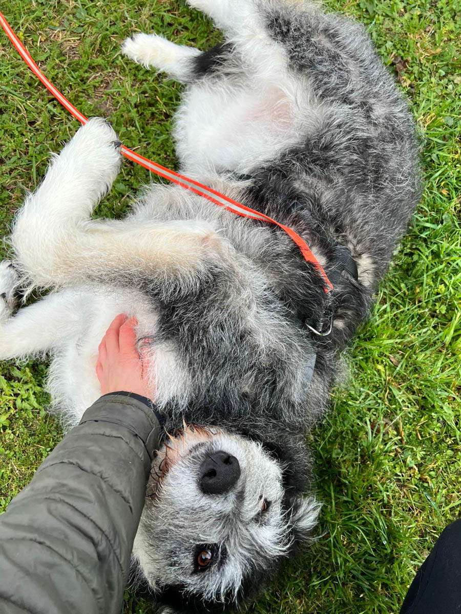 neue Fotos Januar 2026