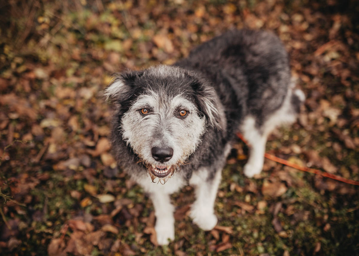 neue Fotos Januar 2026