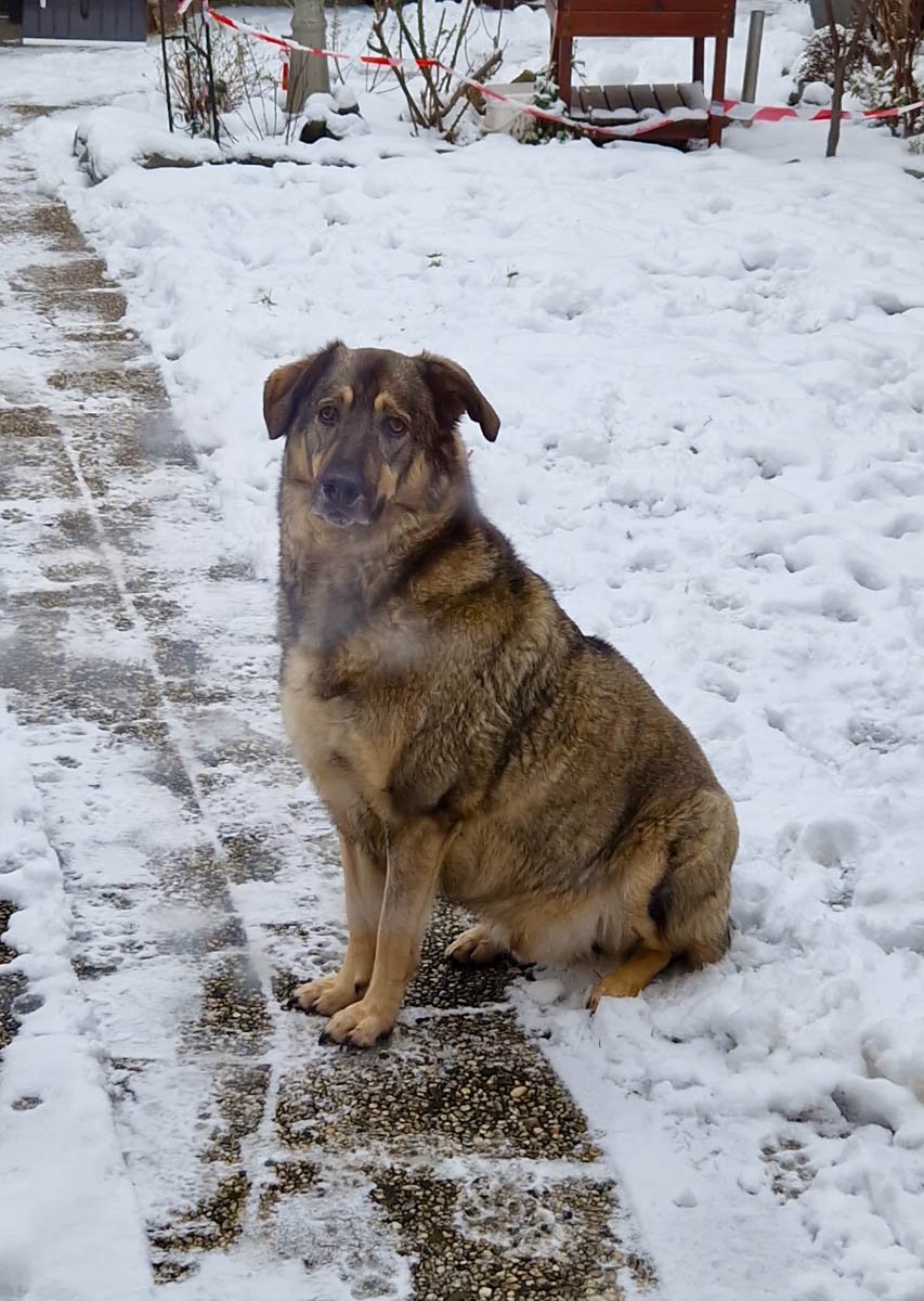 neue Fotos Januar 2026