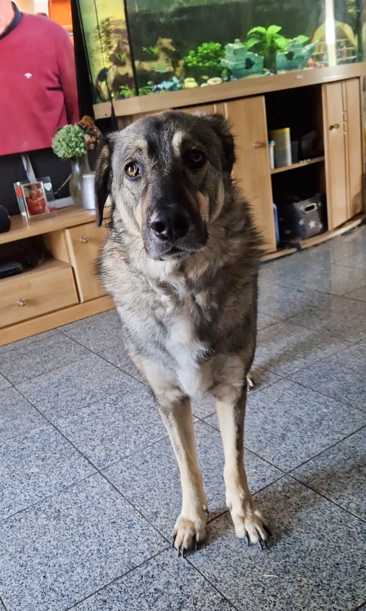 neue Fotos Januar 2026