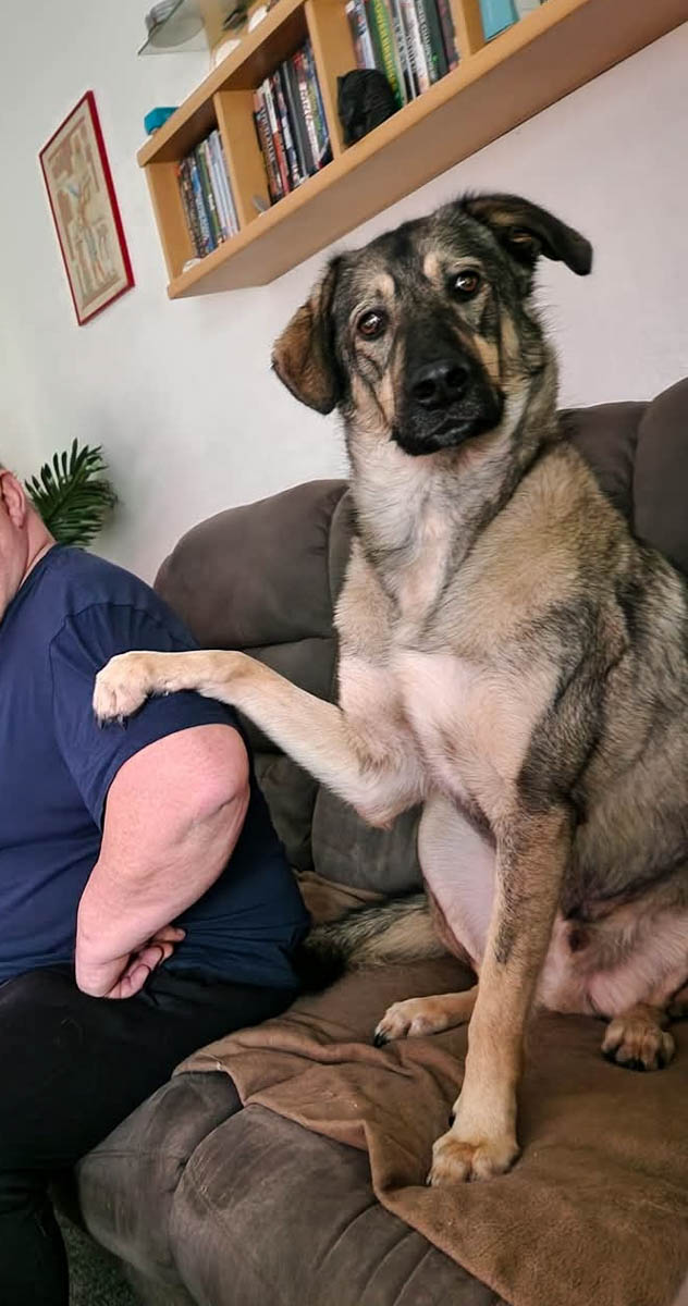 neue Fotos Januar 2026