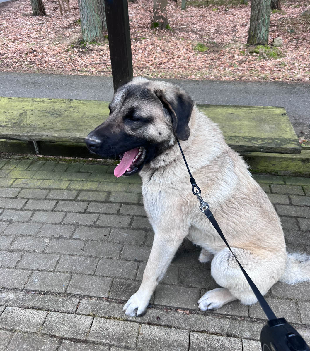 neues Foto Januar 2026