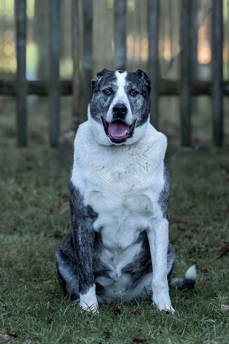 neue Fotos Januar 2026