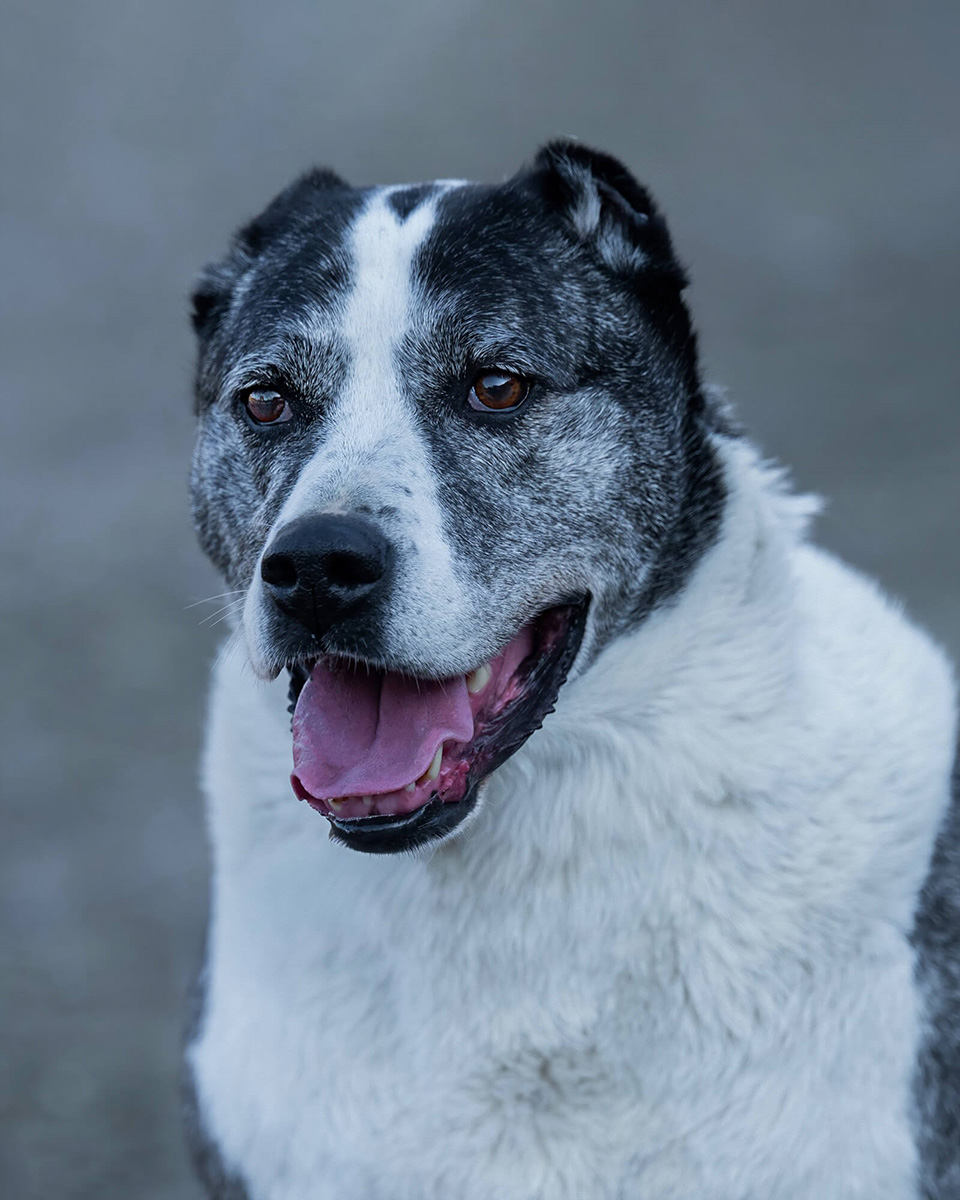 neue Fotos Januar 2026