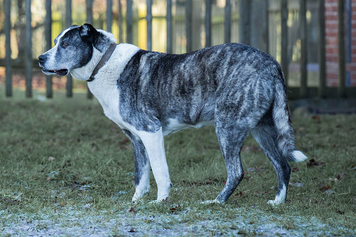 neue Fotos Januar 2026